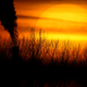 Emissions from a coal-fired power plant are silhouetted against the setting sun in Independence, Mo.